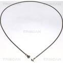 Motorkapkabel TRISCAN - 8140 29627