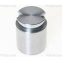 Piston (étrier de frein) TRISCAN - 8170 233631