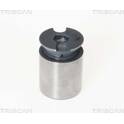 Piston (étrier de frein) TRISCAN - 8170 233863
