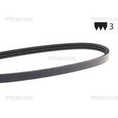 Poly V-riem TRISCAN - 8640 300675