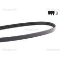 Poly V-riem TRISCAN - 8640 300860