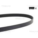 Poly V-riem TRISCAN - 8640 400843sf