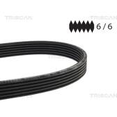 Poly V-riem TRISCAN - 8640 661195