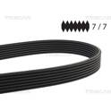 Poly V-riem TRISCAN - 8640 771880