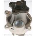 Pompe à eau TRISCAN - 8600 16078