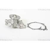Pompe à eau TRISCAN - 8600 18003