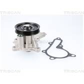 Pompe à eau TRISCAN - 8600 43034