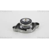 Radiator Cap TRISCAN - 8610 4