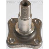 Radnabe TRISCAN - 8535 25007