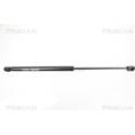 Rear glass strut TRISCAN - 8710 16251