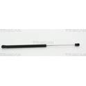 Rear glass strut TRISCAN - 8710 18231