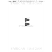 Schraube, Bremsscheibe (x2) TRISCAN - 8105 116005