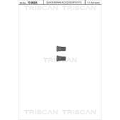 Schraube, Bremsscheibe (x2) TRISCAN - 8105 116007