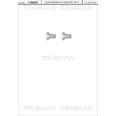 Schraube, Bremsscheibe (x2) TRISCAN - 8105 116010