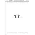Schraube, Bremsscheibe (x2) TRISCAN - 8105 116017