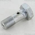 Holle bout (x10) TRISCAN - 8105 3254