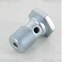Hollow Screw (x10) TRISCAN - 8105 3250