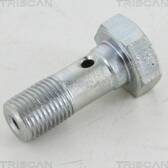 Hollow Screw (x10) TRISCAN - 8105 3254