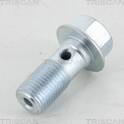 Hollow Screw (x10) TRISCAN - 8105 3256