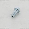 Hollow Screw (x10) TRISCAN - 8105 3257