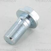 Hollow Screw (x10) TRISCAN - 8105 3259