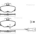 Set remblokken achter TRISCAN - 8110 16827