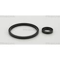 Shaft Seal Set, clutch TRISCAN - 8550 27003