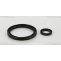 Shaft Seal Set, clutch TRISCAN - 8550 29004