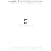Skruv, bromslamell (x2) TRISCAN - 8105 116008