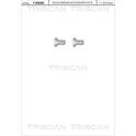 Skruv, bromslamell (x2) TRISCAN - 8105 116010