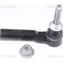 Spoorstangeind TRISCAN - 8500 81101