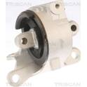 Support moteur TRISCAN - 8505 10129