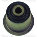Supporto, Braccio oscillante TRISCAN - 8500 29806