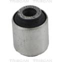 Suspensión, Brazo oscilante TRISCAN - 8500 10874