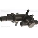 Termostat, kylmedel TRISCAN - 8620 25784