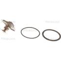 Termostat, kylmedel TRISCAN - 8620 9785