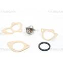 Termostato, refrigerante TRISCAN - 8620 1288