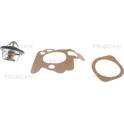Termostato, refrigerante TRISCAN - 8620 2782