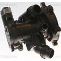 Termostato, refrigerante TRISCAN - 8620 55900