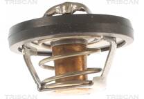 Thermostat d'eau