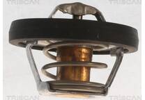 Thermostat d'eau