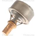 Thermostat d'eau TRISCAN - 8620 13091