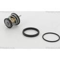 Thermostat d'eau TRISCAN - 8620 31795