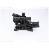 Thermostat d'eau TRISCAN - 8620 60180