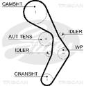 Timing Belt TRISCAN - 8645 5604xs