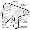 Timing Belt TRISCAN - 8645 5630xs