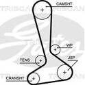 Timing Belt TRISCAN - 8645 5645xs