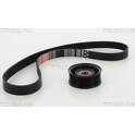 V-Ribbed Belt Set TRISCAN - 8642 16006