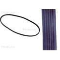 V Ribbed Drive Belts TRISCAN - 8640 101213