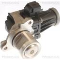 Valvola EGR TRISCAN - 8813 10053